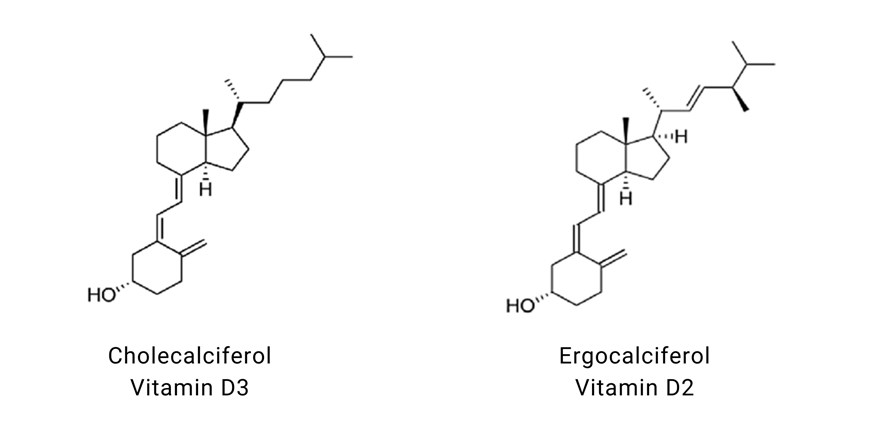 Vitamin D